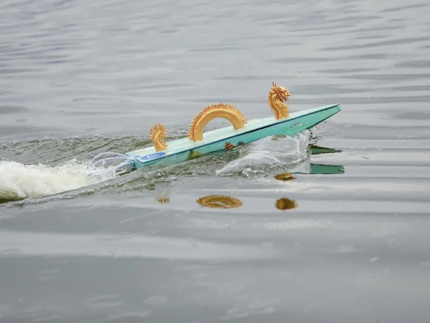 649a7cc0f2bcc.jpg